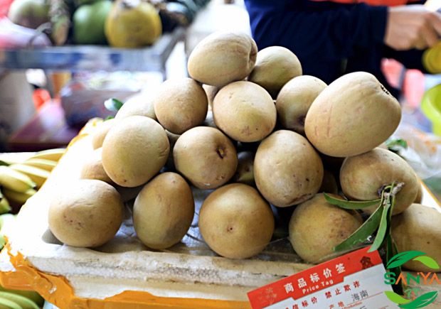 海南植保信息交流暨農(nóng)業(yè)設(shè)施展覽會